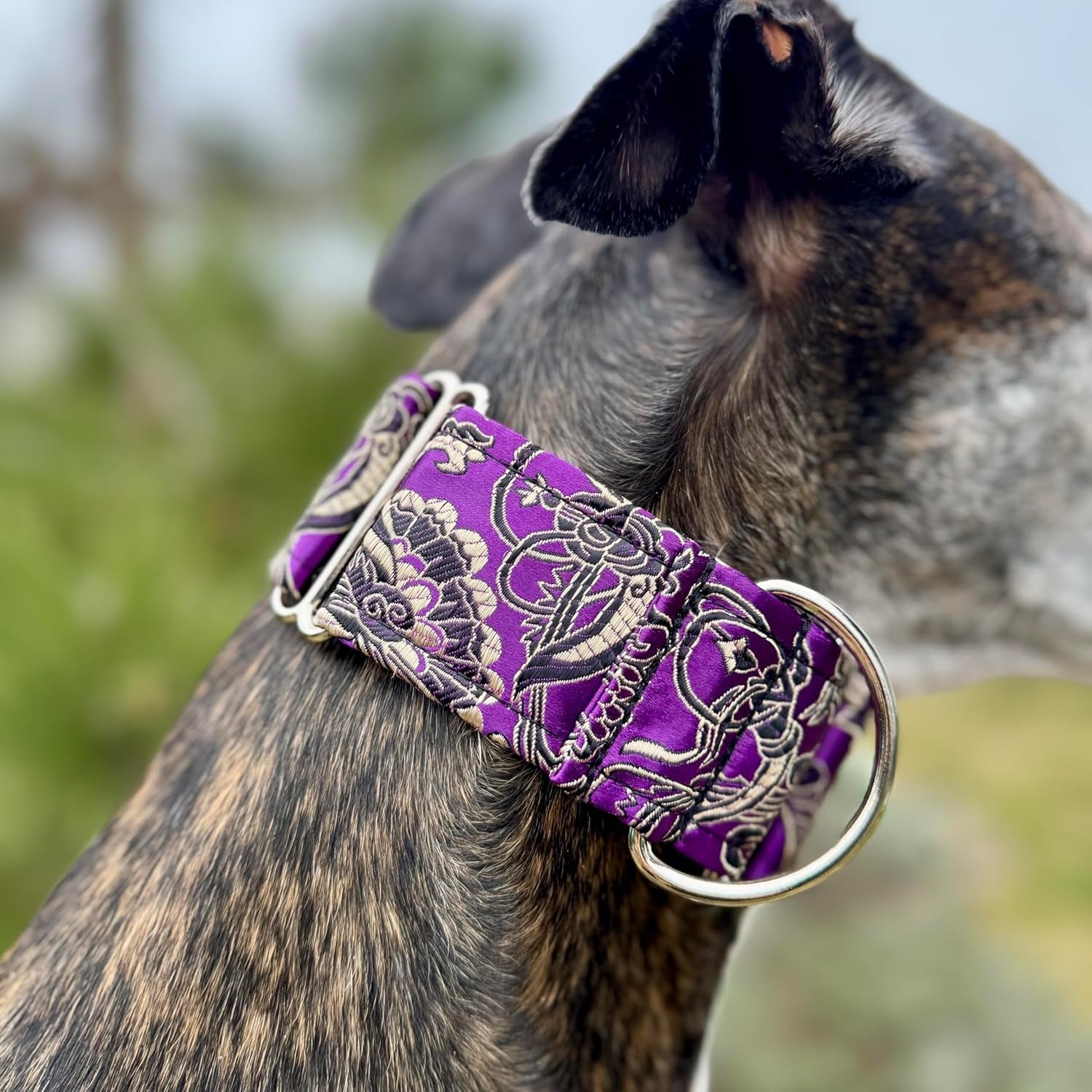 CRIMSON MOON MARTINGALES