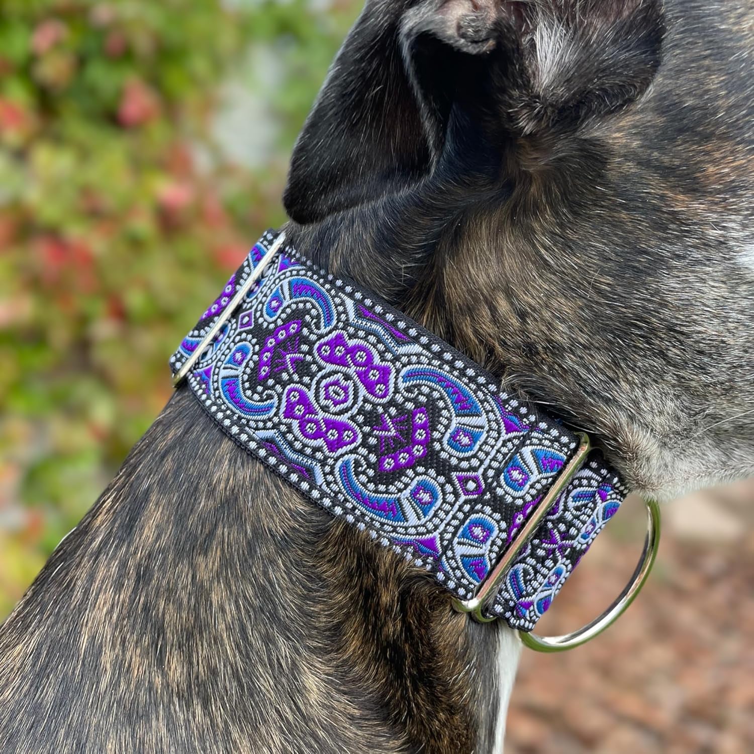 Martingale Dog Collar and Leash Set for Greyhound Saluki Whippet and Other Breeds with Similar Neck 2" Wide (14"-18" and Leash Set)