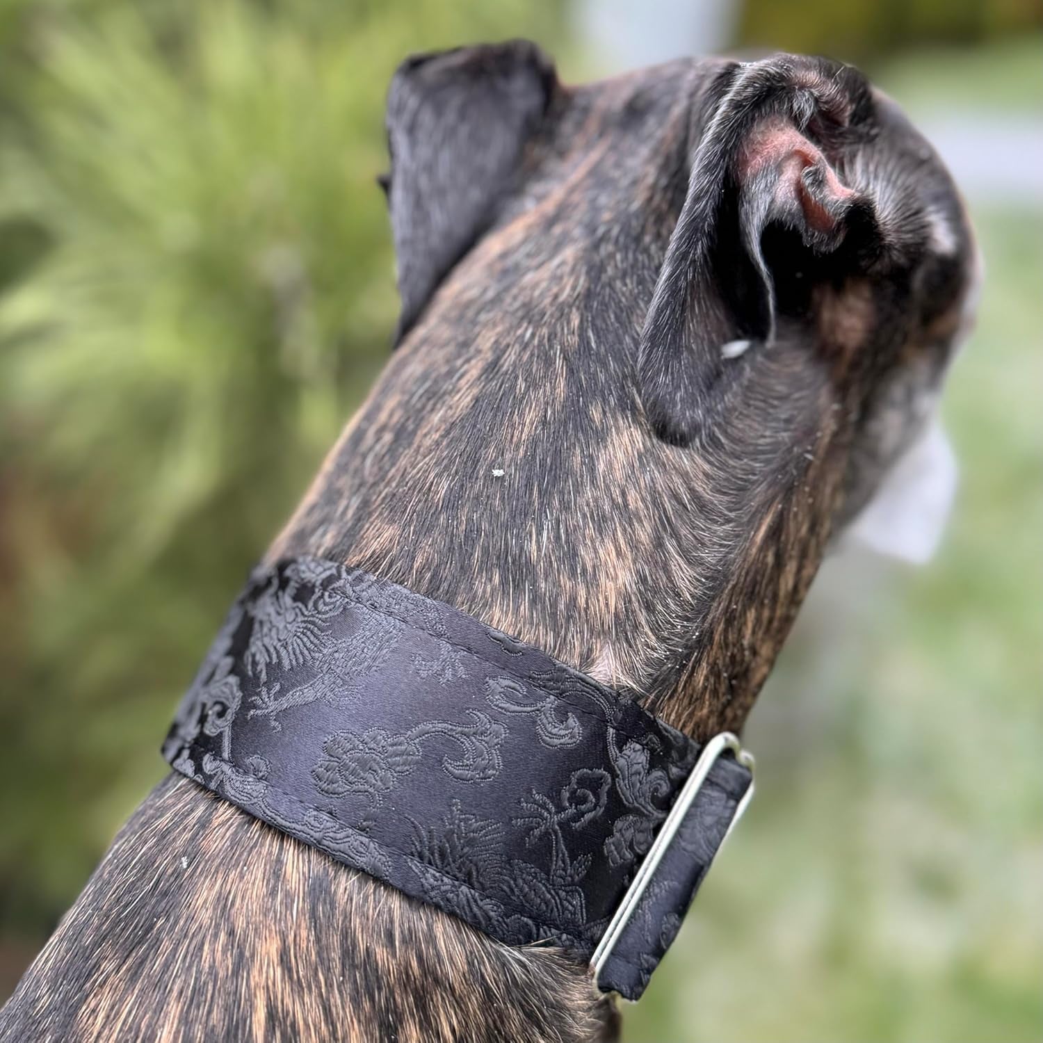 Extra Soft Martingale Dog Collar for Greyhound Saluki Whippet and Other Breeds with Similar Neck 2Ft Wide (Black, L 14Ft -18Ft )