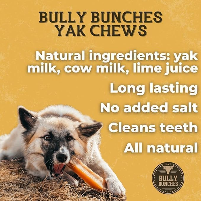 Bully Bunches Premium Fruit-Flavored Himalayan Yak Chew for Dogs - 100G, All-Natural, Long-Lasting, Authentic Yak Milk, Healthy Dental Chew, High-Protein (Medium Assorted - 4PK, Assorted)