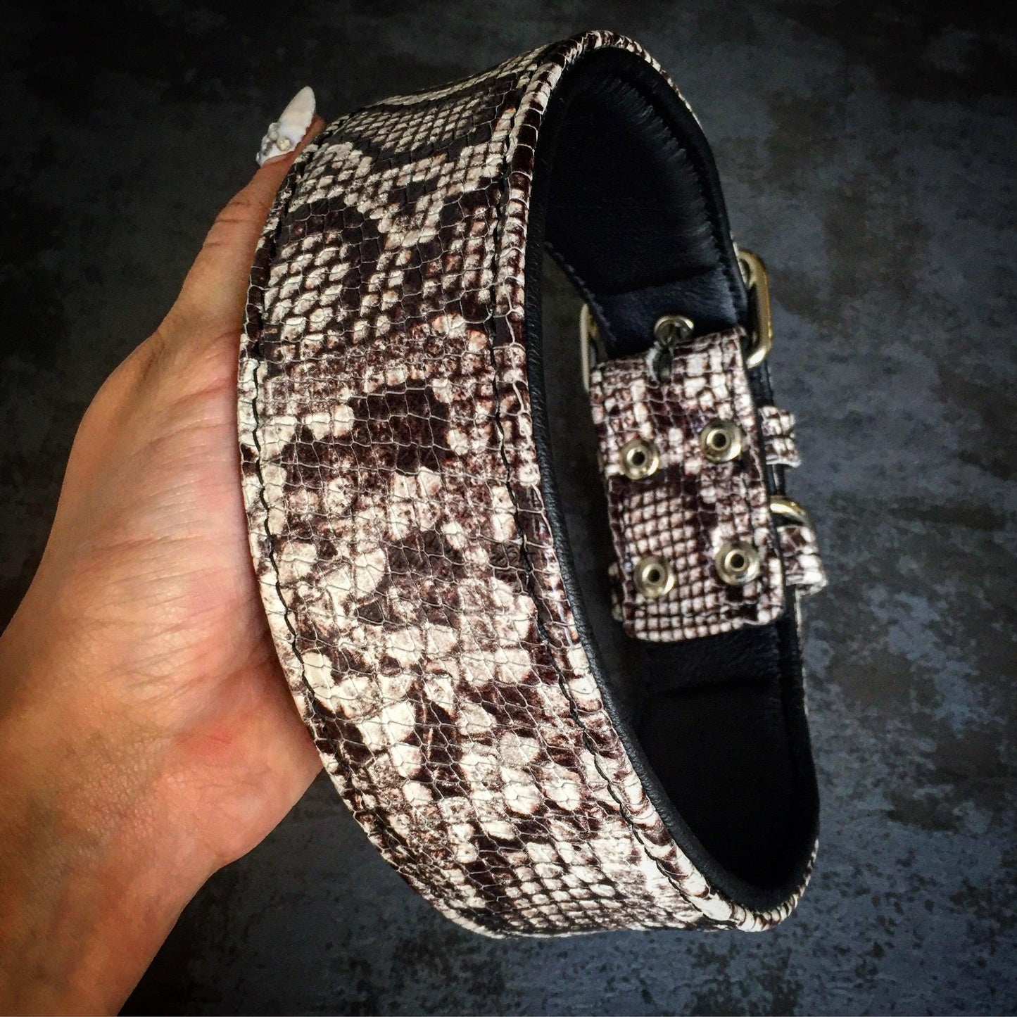 The ''Rock Python'' Collar