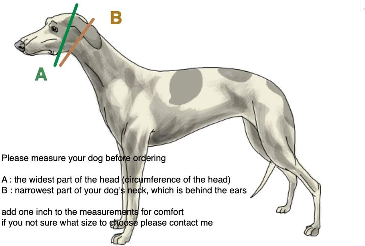 Martingale Dog Collar for Greyhound Saluki Whippet and Other Breeds with Similar Neck 2" Wide (14"-18")