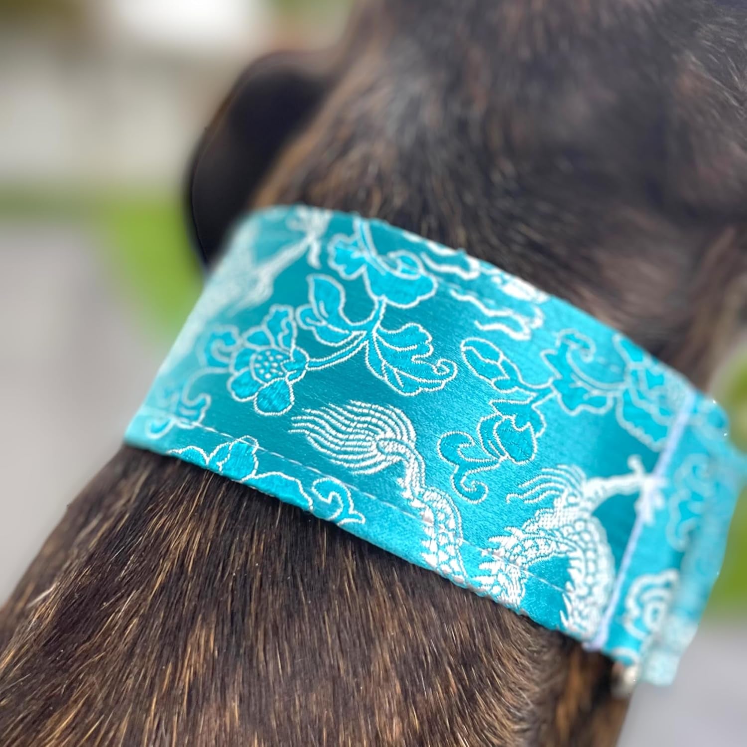 Extra Soft Martingale Dog Collar for Greyhound Saluki Whippet and Other Breeds with Similar Neck 2" Wide (11"-14")