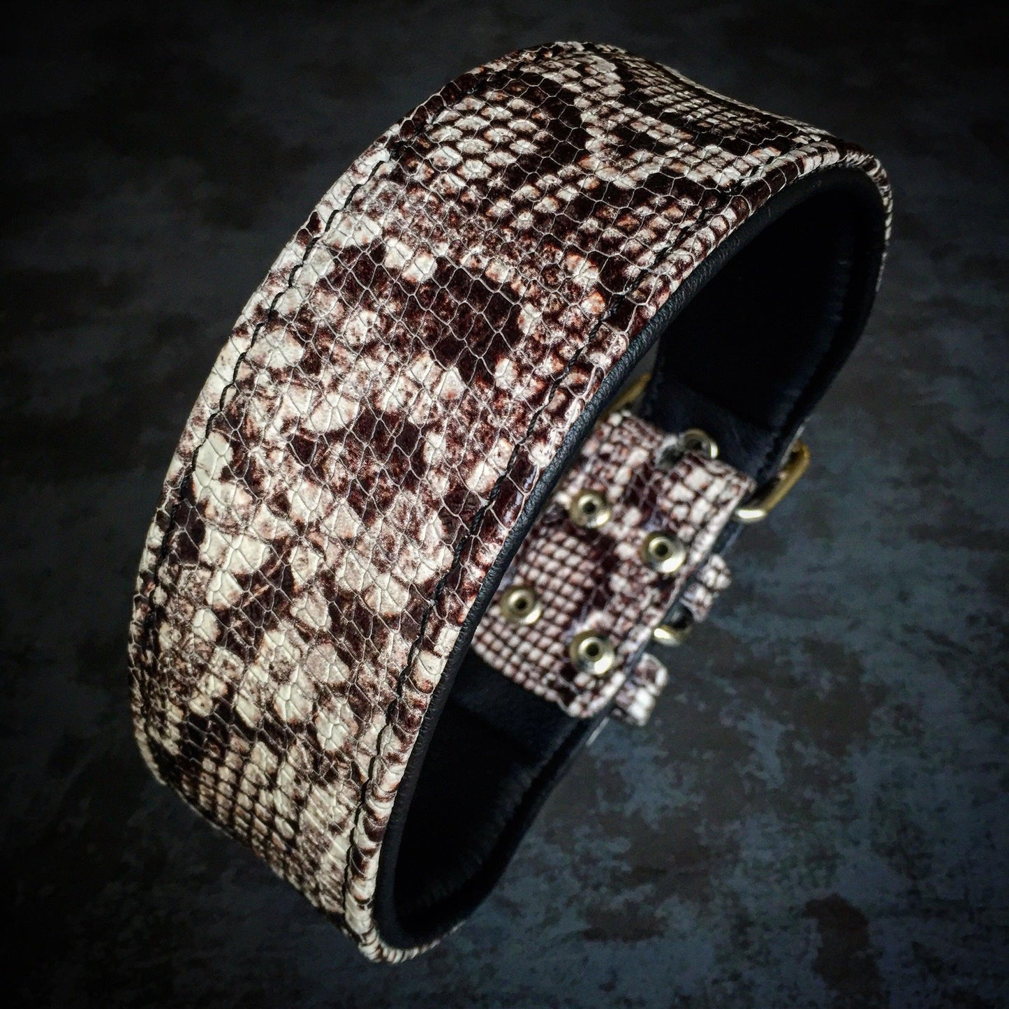 The ''Rock Python'' Collar