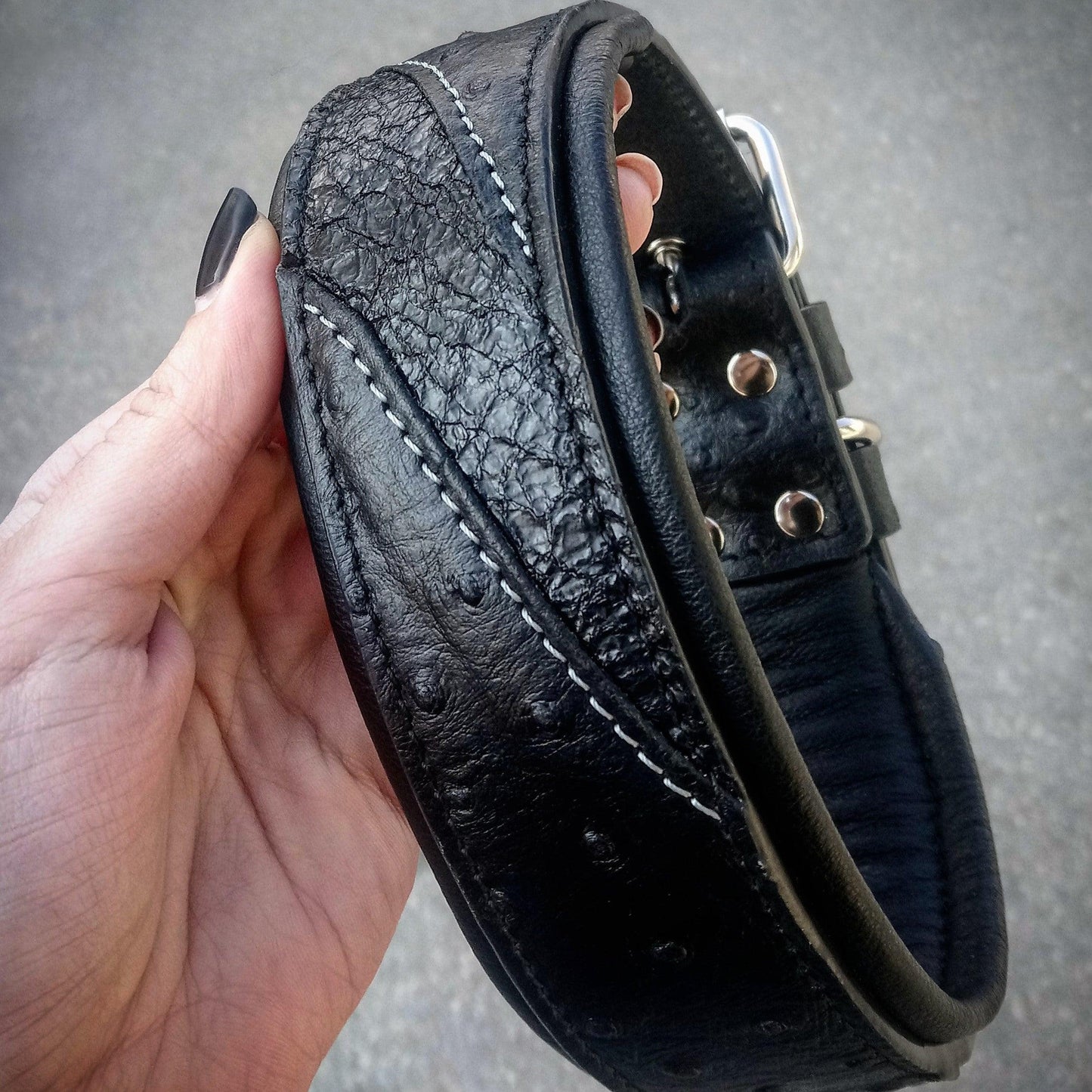 The "Korona" Collar BLACK EDITION