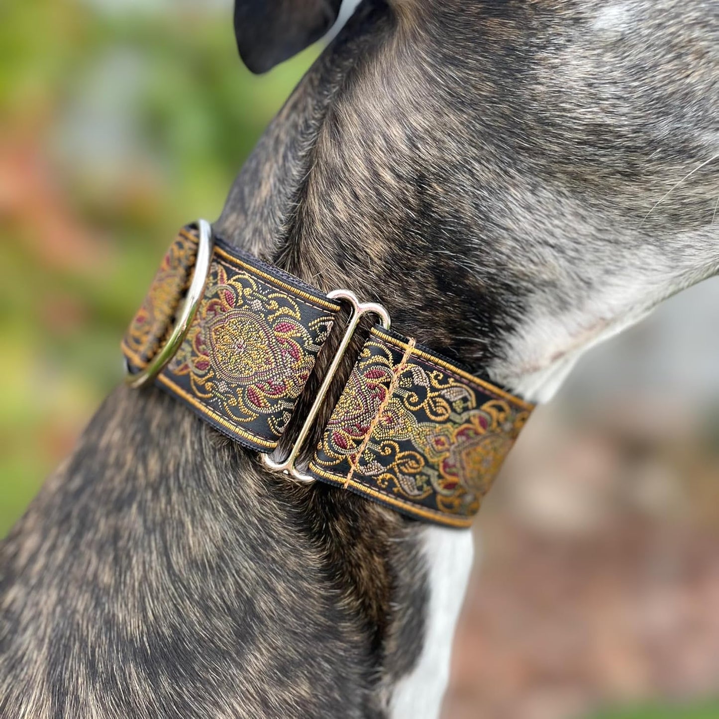 Martingale Dog Collar for Greyhound Saluki Whippet and Other Breeds with Similar Neck 2" Wide (14"-18")