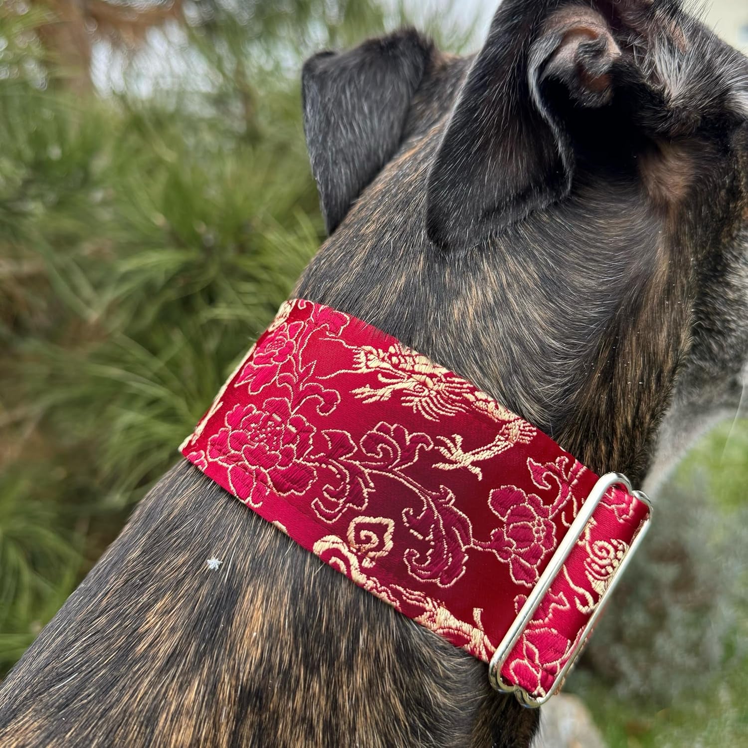 Extra Soft Martingale Dog Collar for Greyhound Saluki Whippet and Other Breeds with Similar Neck 2" Wide (M 11"-14")