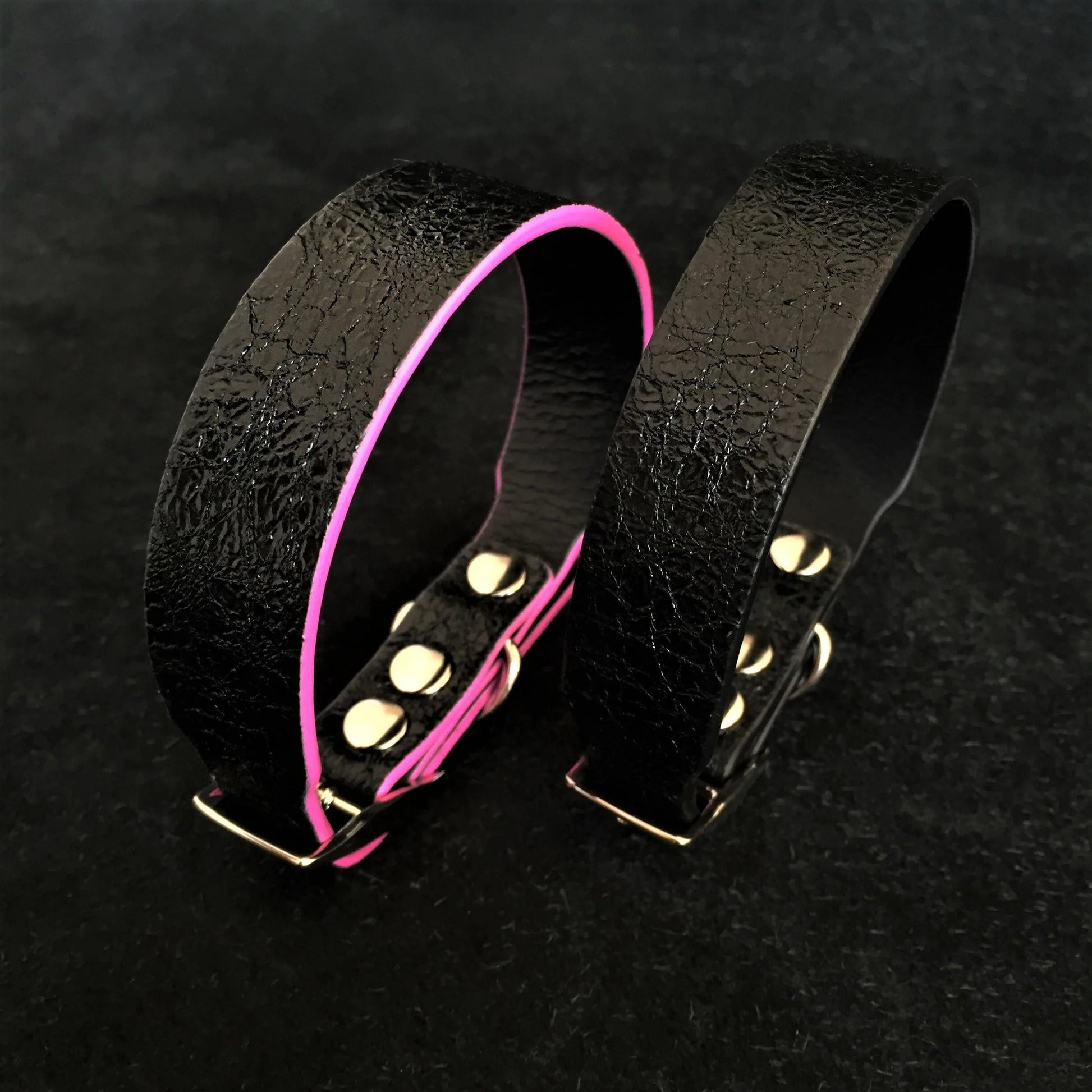 The ''Taurus'' Puppy Collar