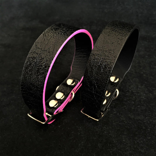 The ''Taurus'' Puppy Collar