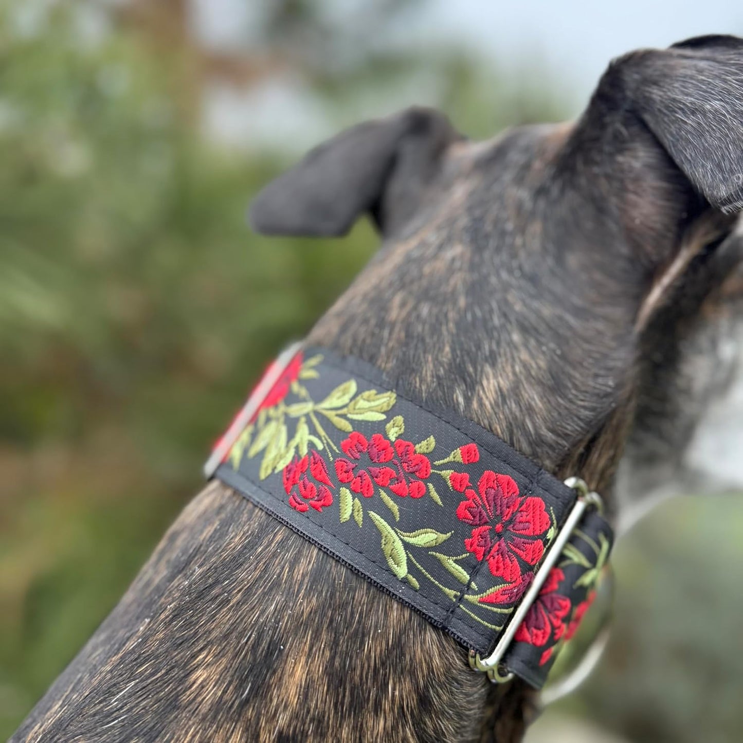Martingale Dog Collar and Leash Set for Greyhound Saluki Whippet and Other Breeds with Similar Neck 2" Wide (L 14”-18” and Leash Set)