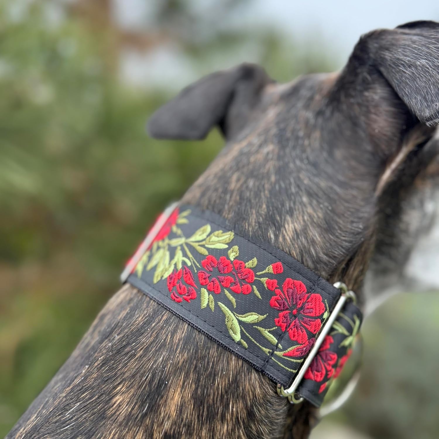 Martingale Dog Collar and Leash Set for Greyhound Saluki Whippet and Other Breeds with Similar Neck 2" Wide (L 14”-18” and Leash Set)