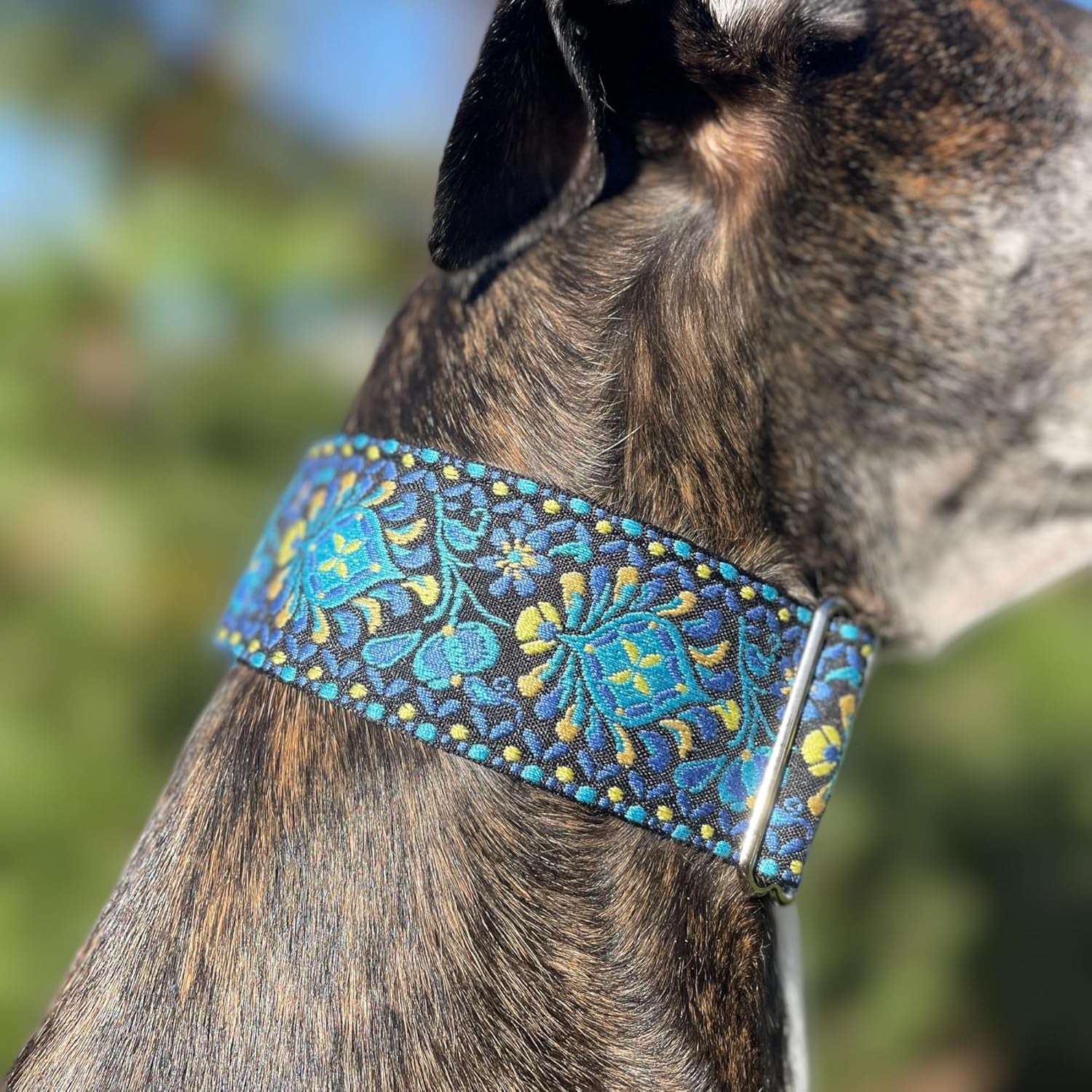 Martingale Dog Collar for Greyhound Saluki Whippet and Other Breeds with Similar Neck 2" Wide (11"-14") Matching Leash Available