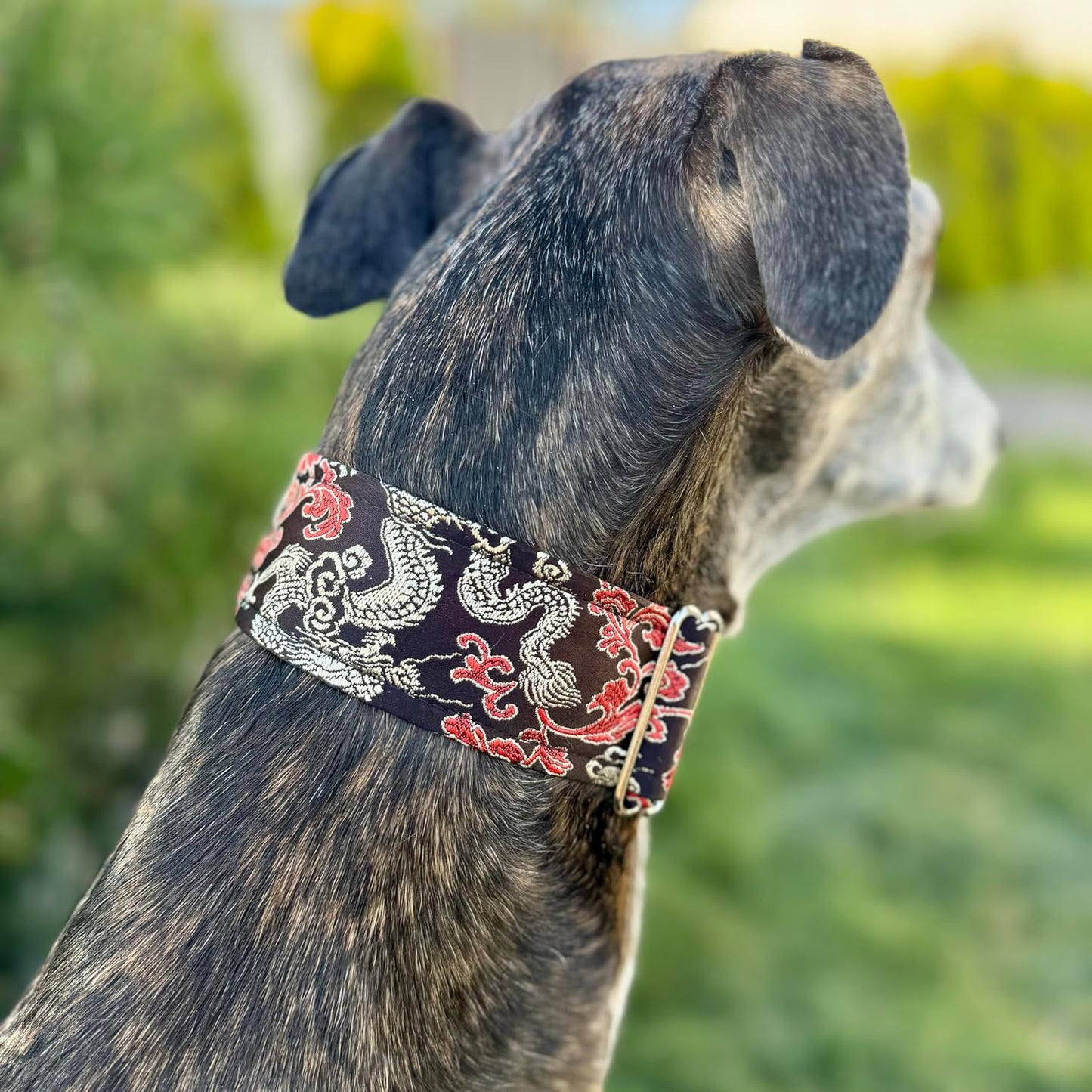 Extra Soft Martingale Dog Collar for Greyhound Saluki Whippet and Other Breeds with Similar Neck 2" Wide (L 14"-18")