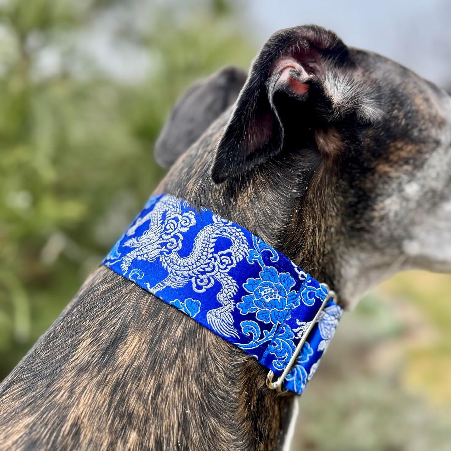 Extra Soft Martingale Dog Collar and Leash Set for Greyhound Saluki Whippet and Other Breeds with Similar Neck 2" Wide (Collar and Leash Set M 11"-14")