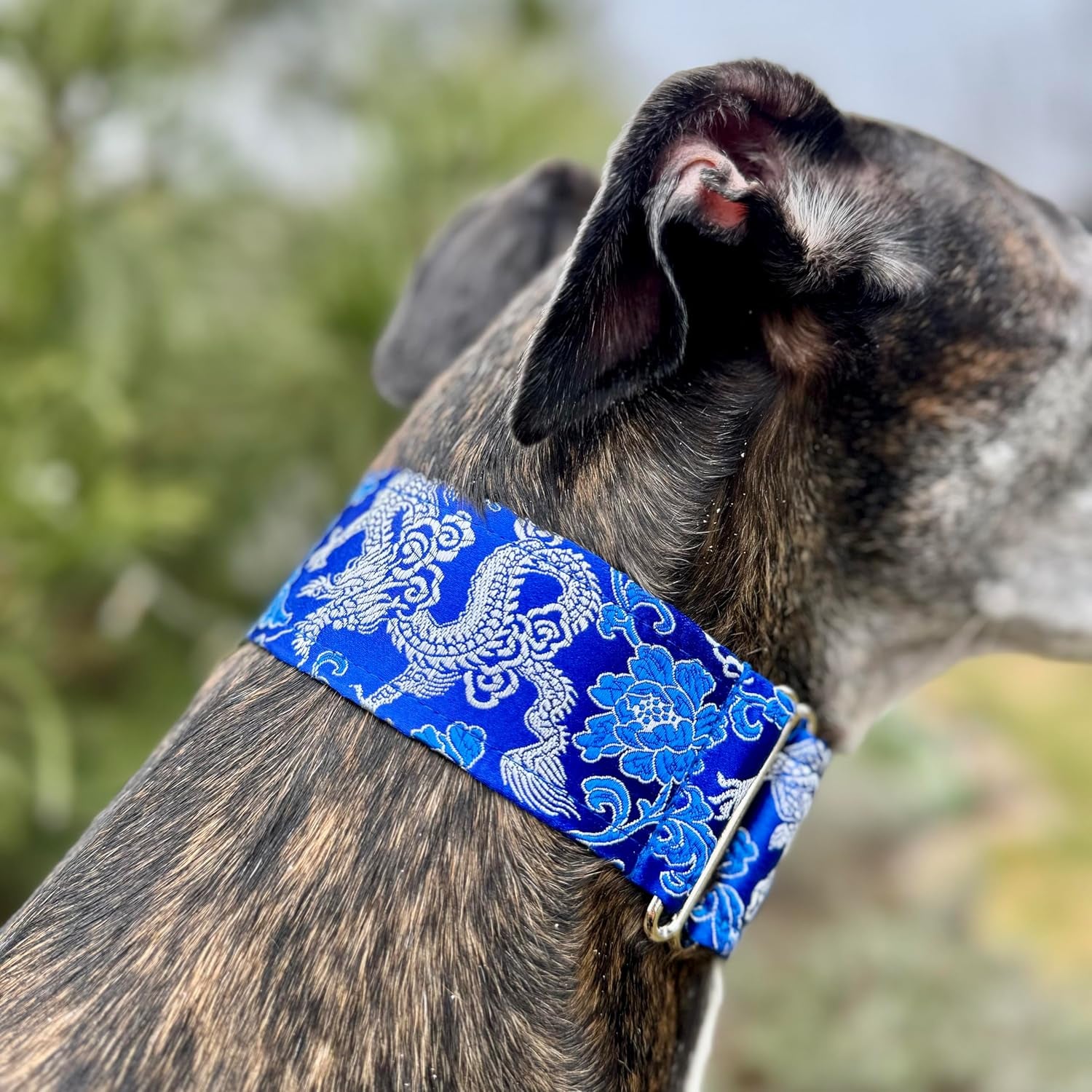 Extra Soft Martingale Dog Collar and Leash Set for Greyhound Saluki Whippet and Other Breeds with Similar Neck 2" Wide (Collar and Leash Set M 11"-14")