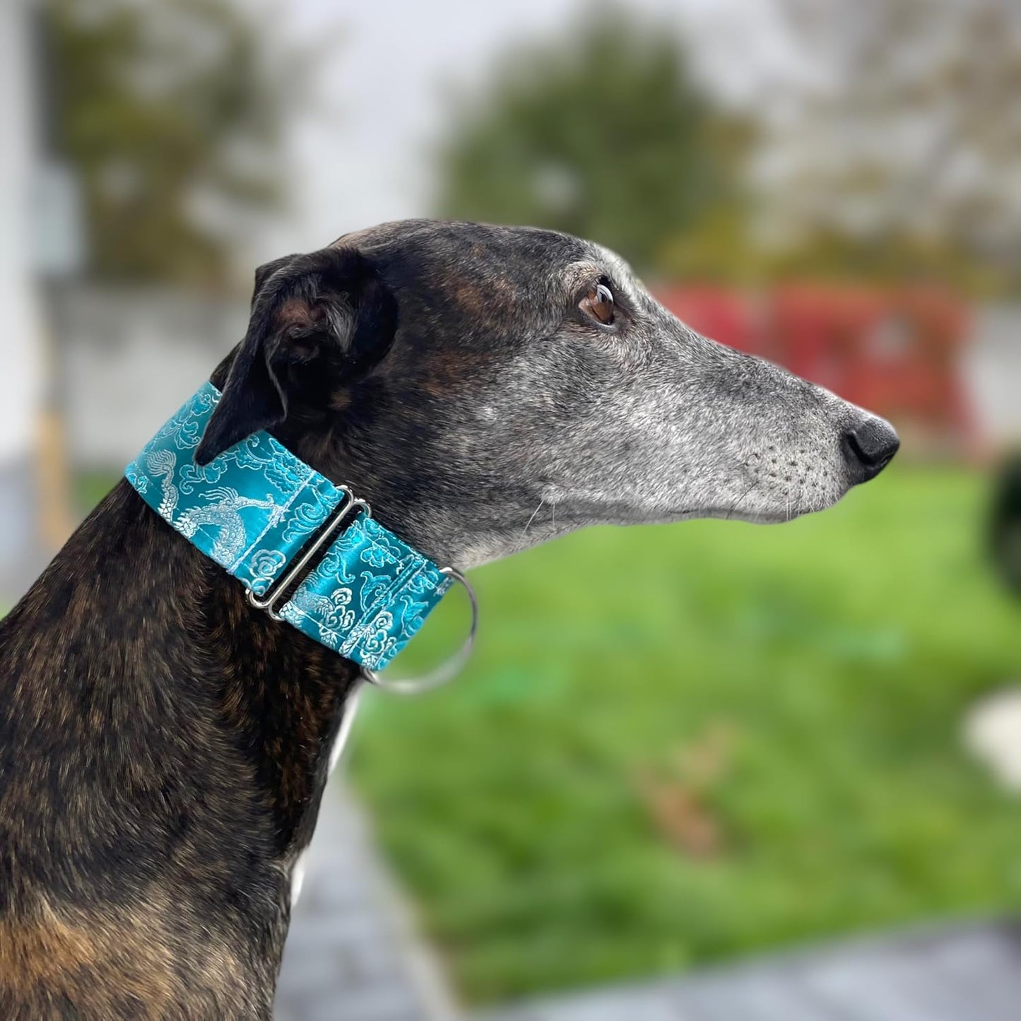 Extra Soft Martingale Dog Collar for Greyhound Saluki Whippet and Other Breeds with Similar Neck 2" Wide (11"-14")