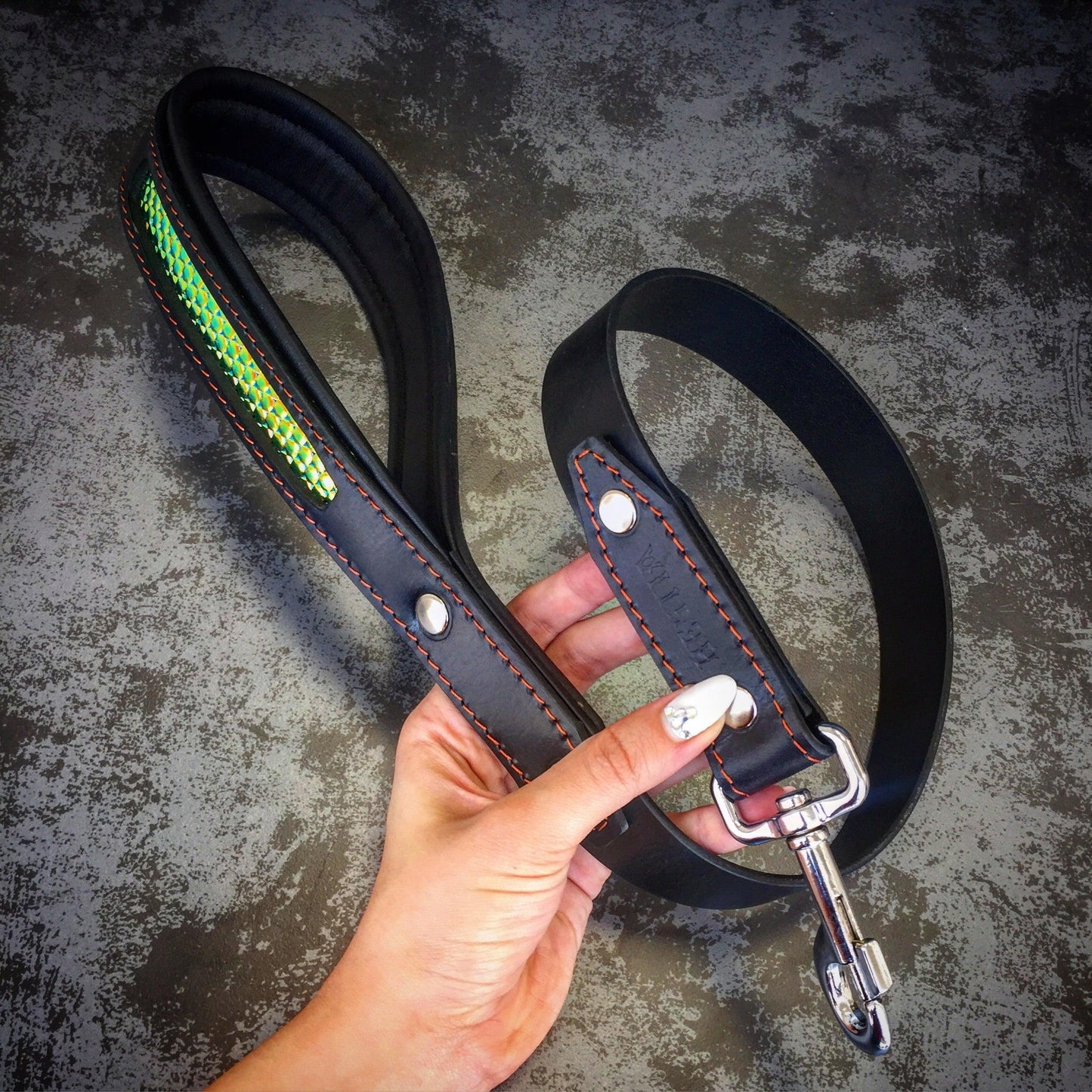 The ''D`Albertis'' Collar