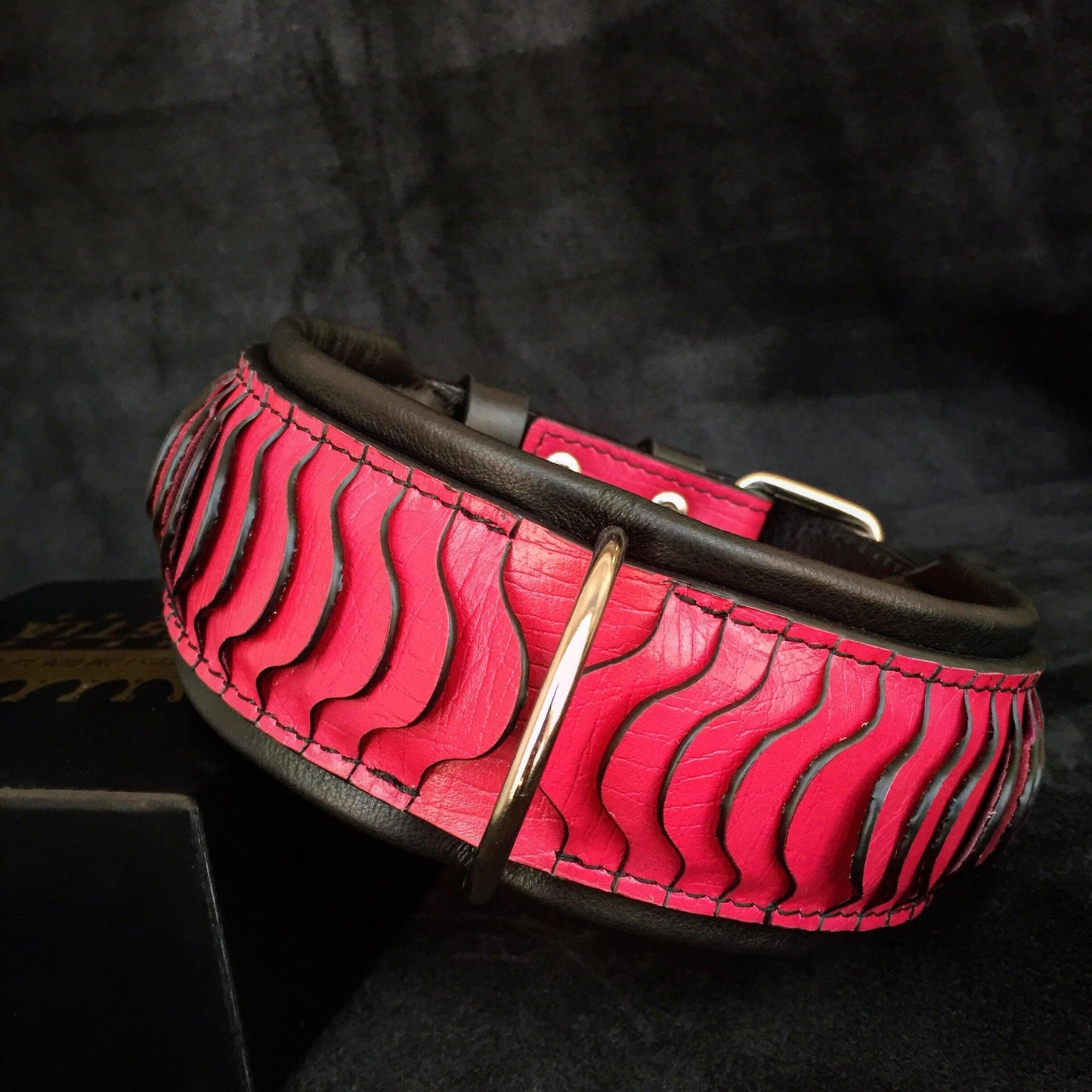 The ''Spine'' Collar